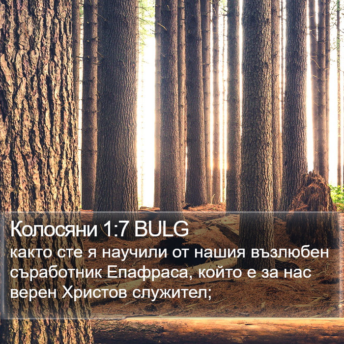 Колосяни 1:7 BULG Bible Study