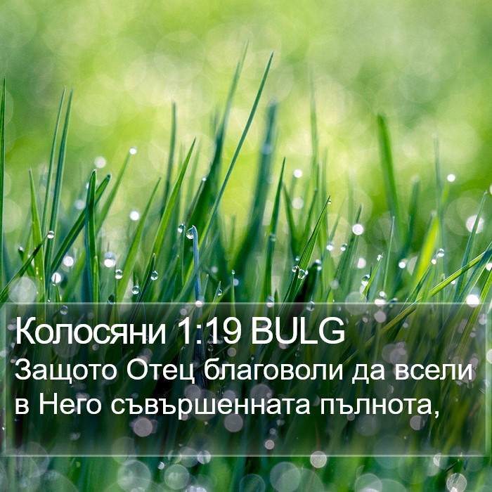 Колосяни 1:19 BULG Bible Study