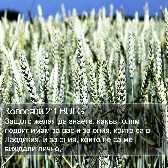 Колосяни 2:1 BULG Bible Study