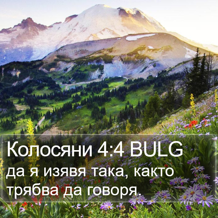 Колосяни 4:4 BULG Bible Study