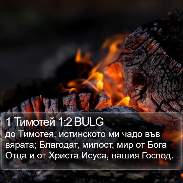 1 Тимотей 1:2 BULG Bible Study