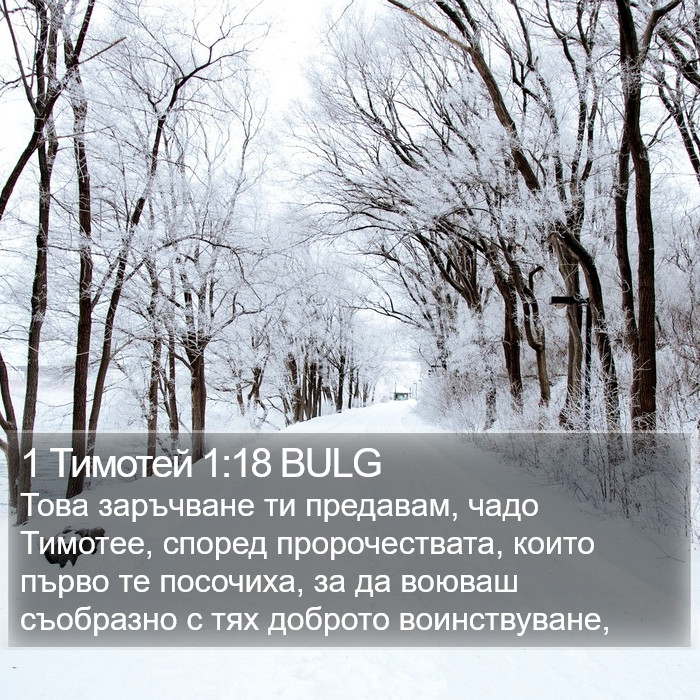 1 Тимотей 1:18 BULG Bible Study