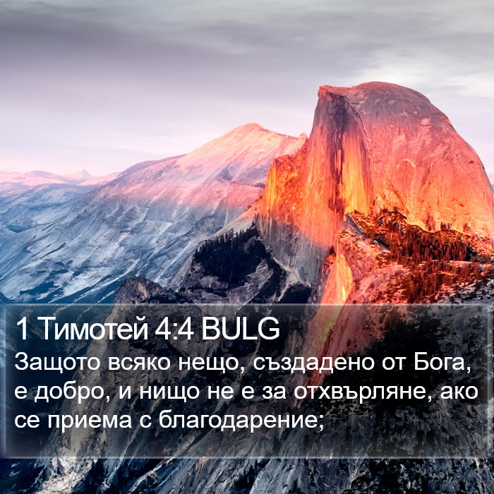 1 Тимотей 4:4 BULG Bible Study