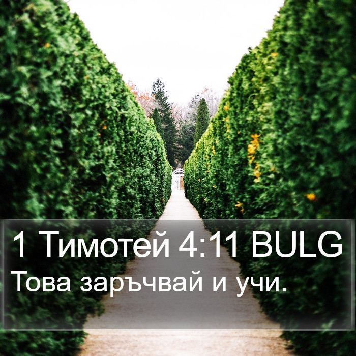 1 Тимотей 4:11 BULG Bible Study