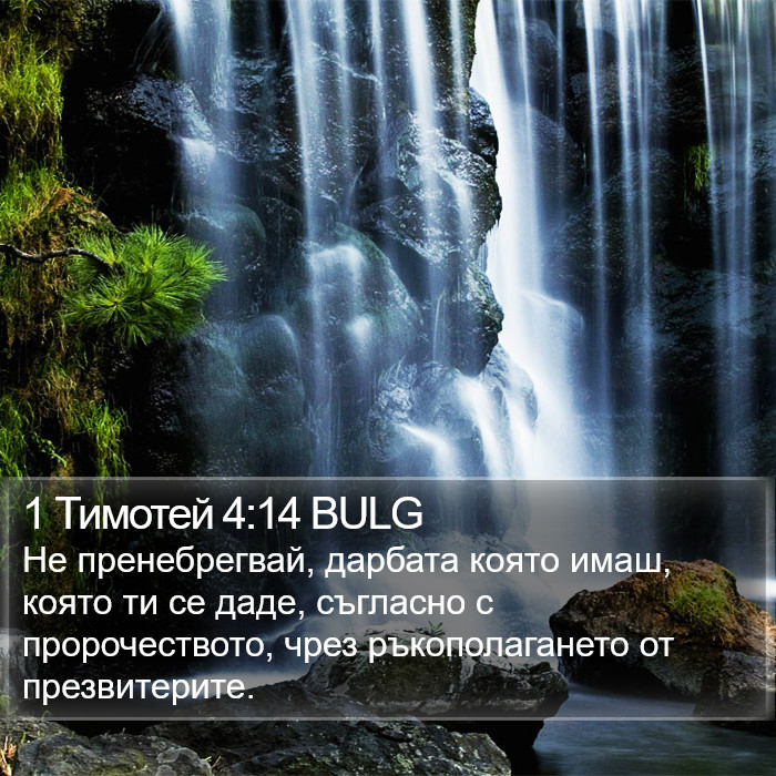 1 Тимотей 4:14 BULG Bible Study