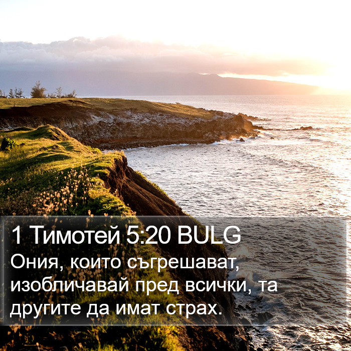 1 Тимотей 5:20 BULG Bible Study