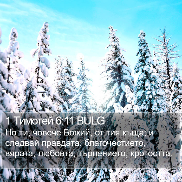 1 Тимотей 6:11 BULG Bible Study