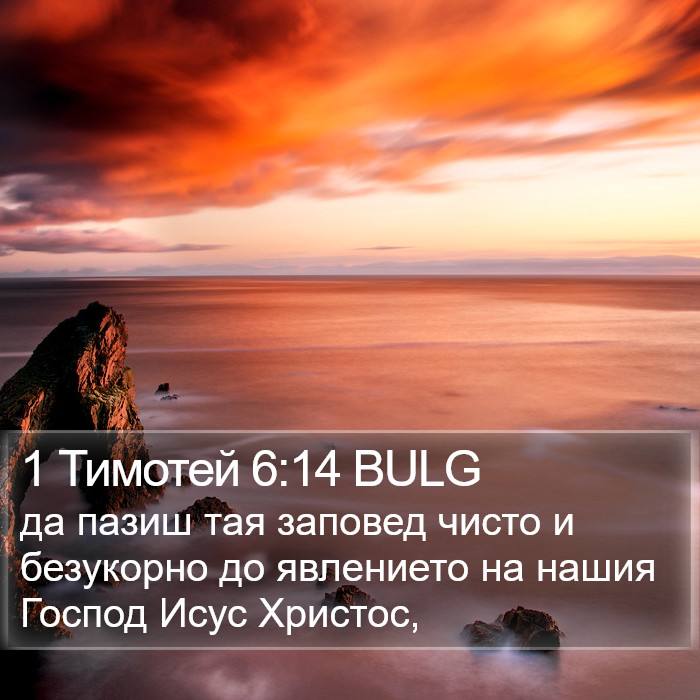 1 Тимотей 6:14 BULG Bible Study