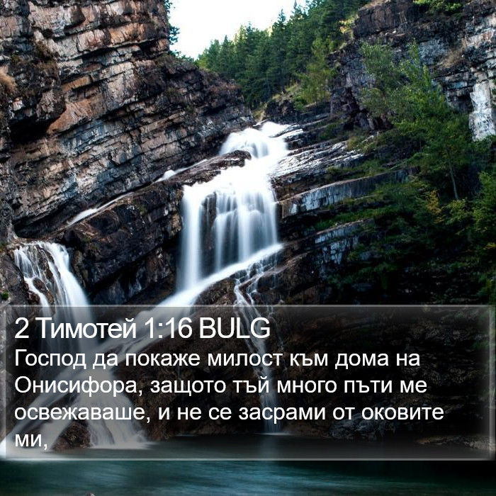 2 Тимотей 1:16 BULG Bible Study