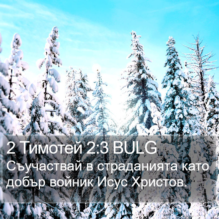 2 Тимотей 2:3 BULG Bible Study