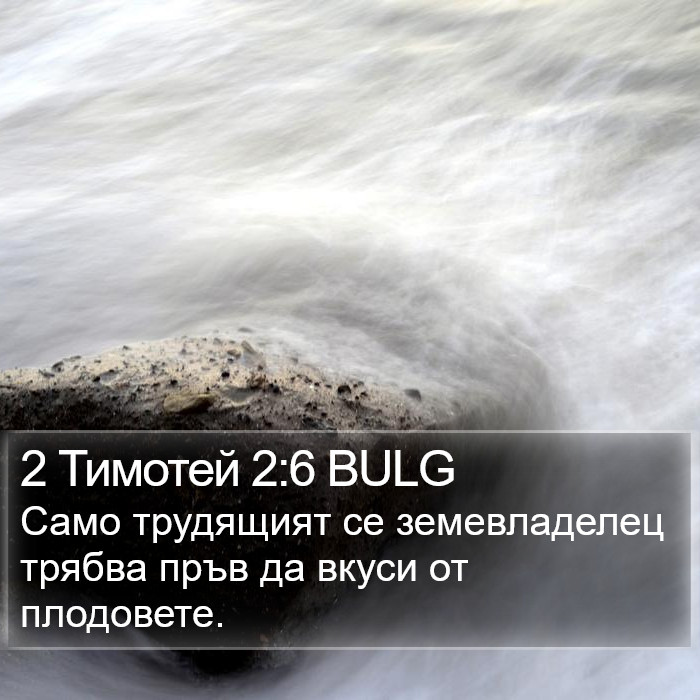 2 Тимотей 2:6 BULG Bible Study