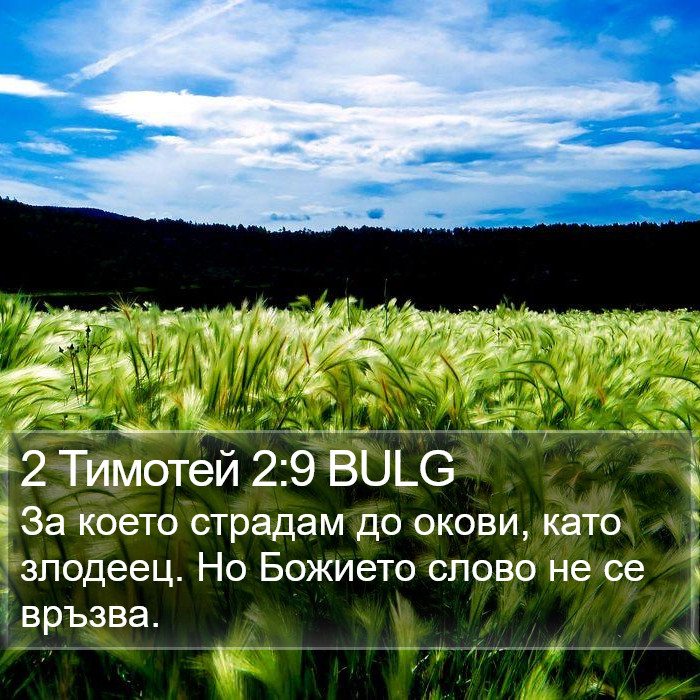 2 Тимотей 2:9 BULG Bible Study