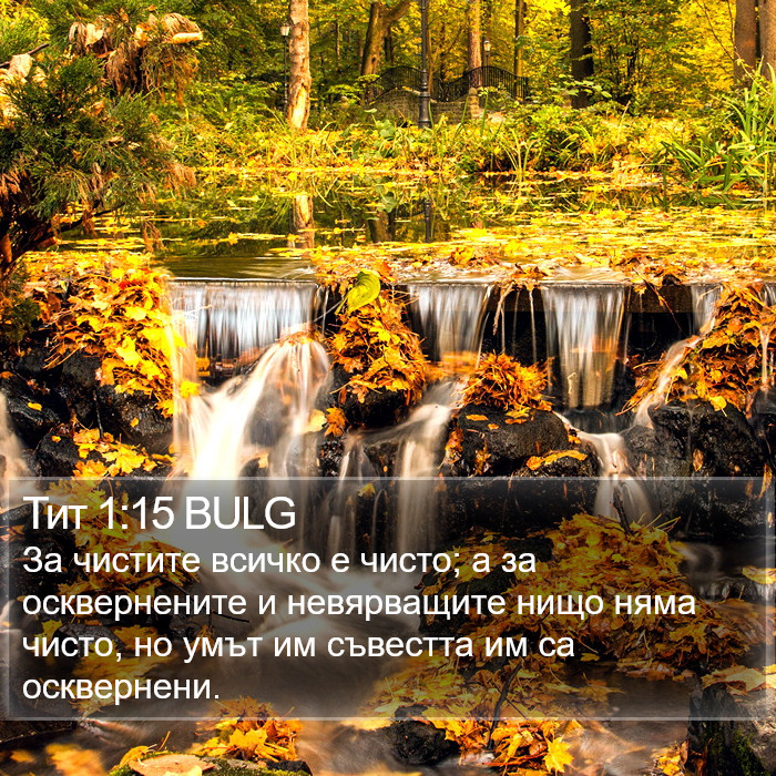 Тит 1:15 BULG Bible Study