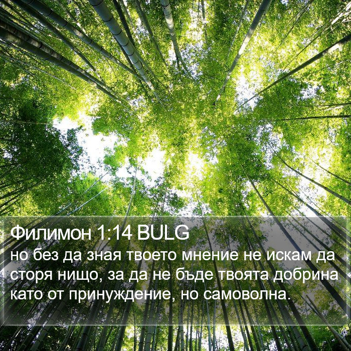 Филимон 1:14 BULG Bible Study