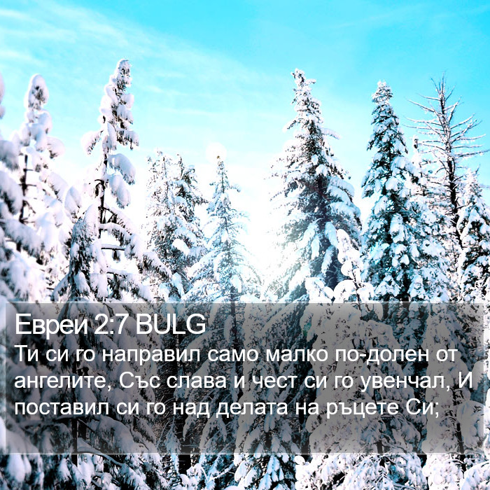 Евреи 2:7 BULG Bible Study