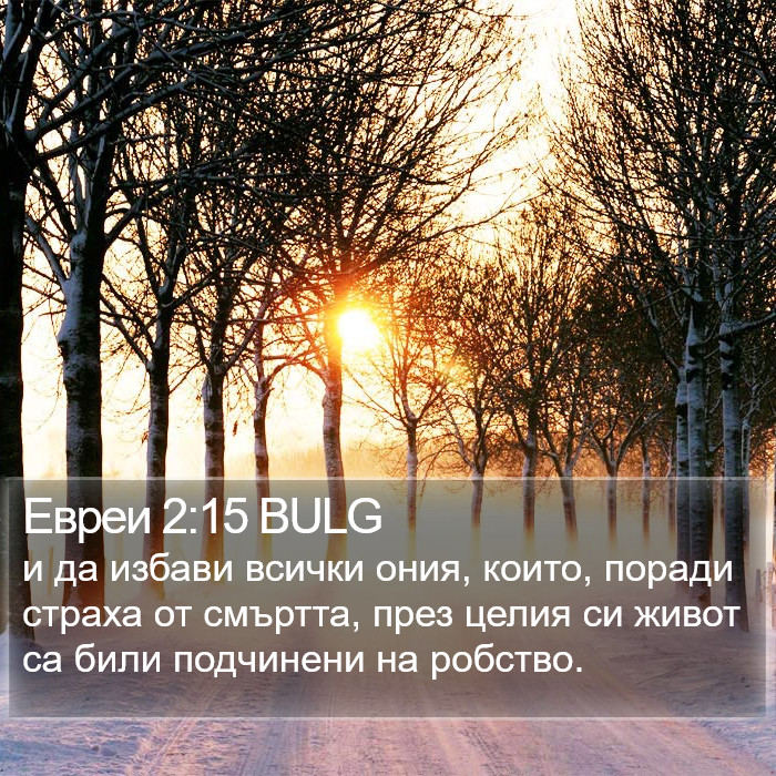 Евреи 2:15 BULG Bible Study