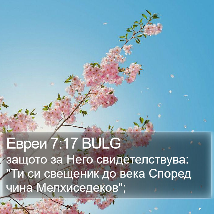 Евреи 7:17 BULG Bible Study