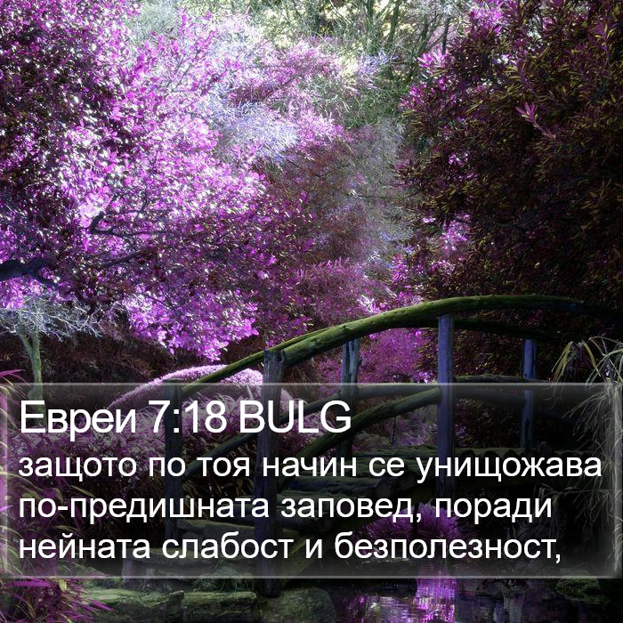 Евреи 7:18 BULG Bible Study