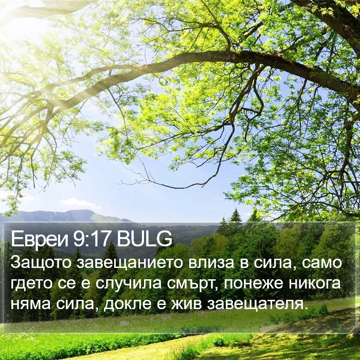 Евреи 9:17 BULG Bible Study