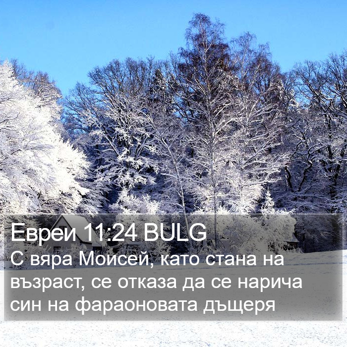 Евреи 11:24 BULG Bible Study