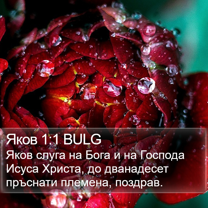 Яков 1:1 BULG Bible Study