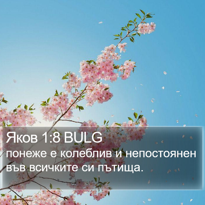 Яков 1:8 BULG Bible Study