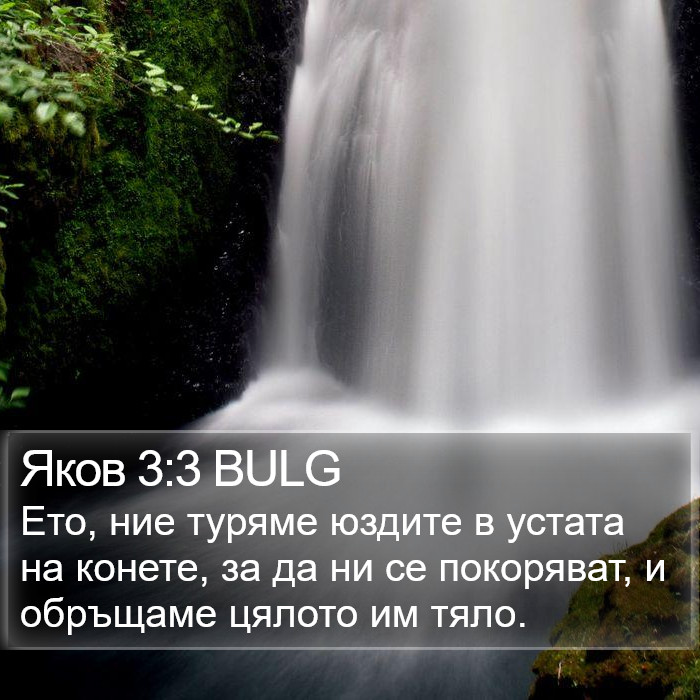 Яков 3:3 BULG Bible Study