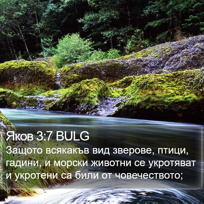 Яков 3:7 BULG Bible Study