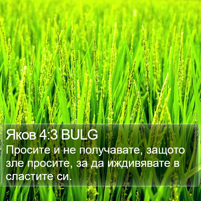 Яков 4:3 BULG Bible Study