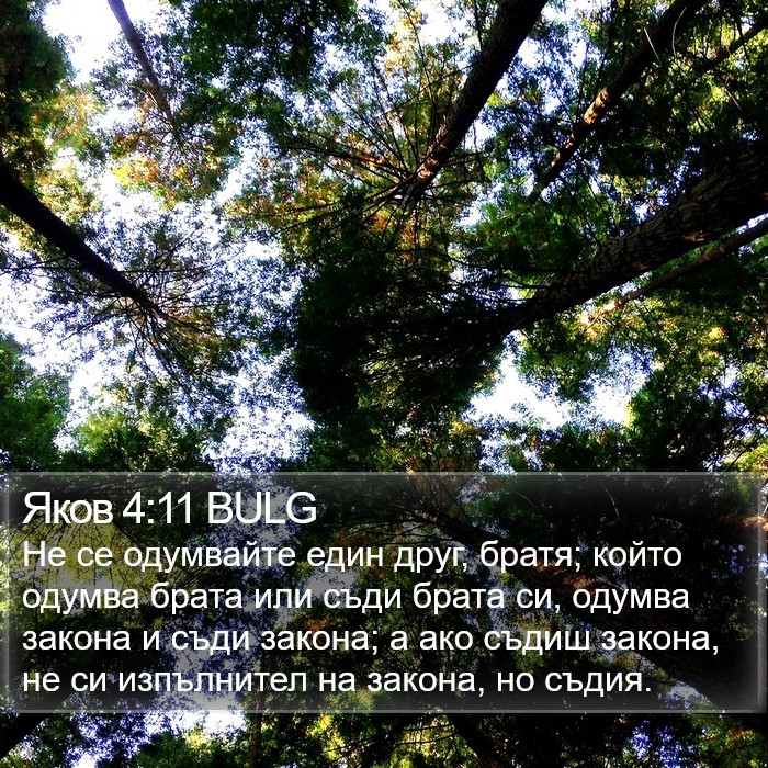 Яков 4:11 BULG Bible Study