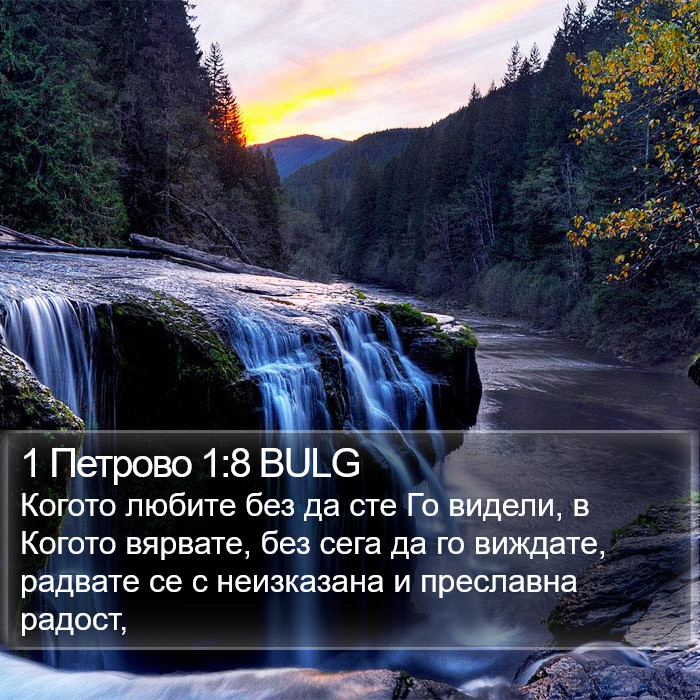 1 Петрово 1:8 BULG Bible Study