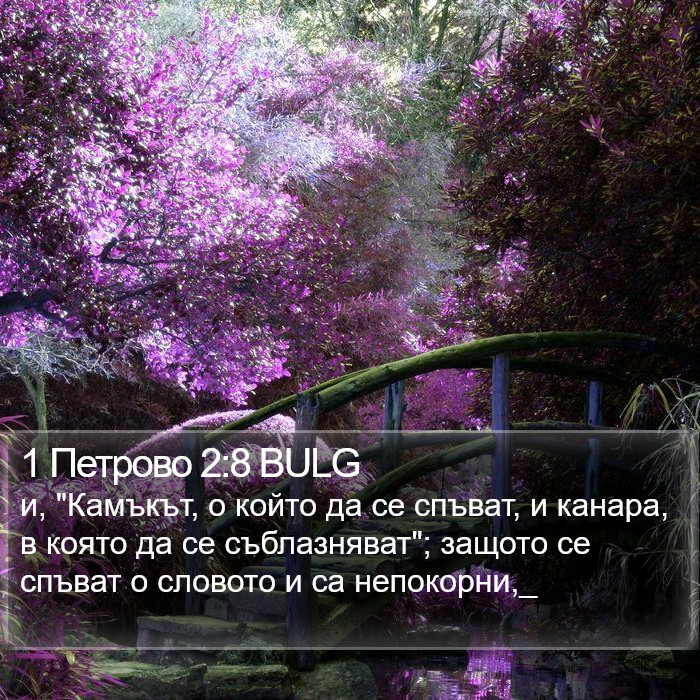 1 Петрово 2:8 BULG Bible Study