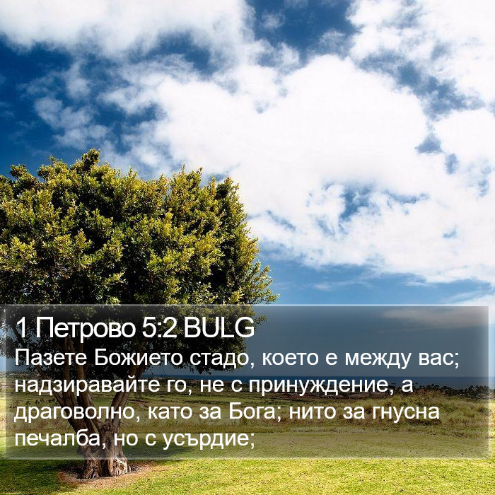 1 Петрово 5:2 BULG Bible Study