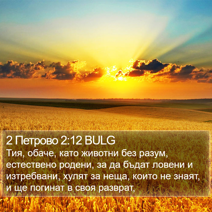 2 Петрово 2:12 BULG Bible Study