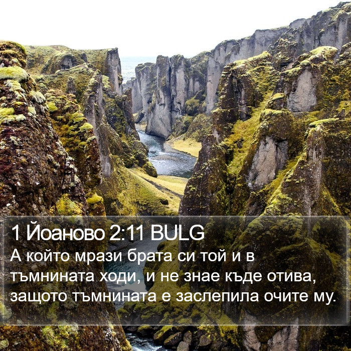 1 Йоаново 2:11 BULG Bible Study
