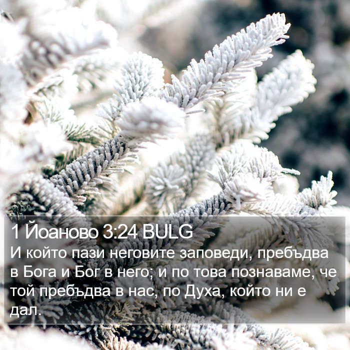 1 Йоаново 3:24 BULG Bible Study