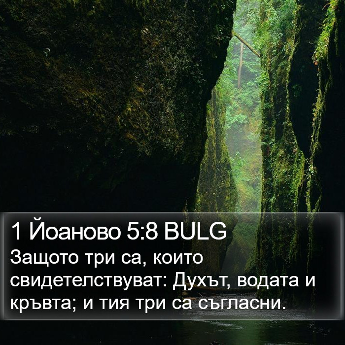 1 Йоаново 5:8 BULG Bible Study