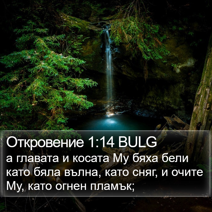 Откровение 1:14 BULG Bible Study