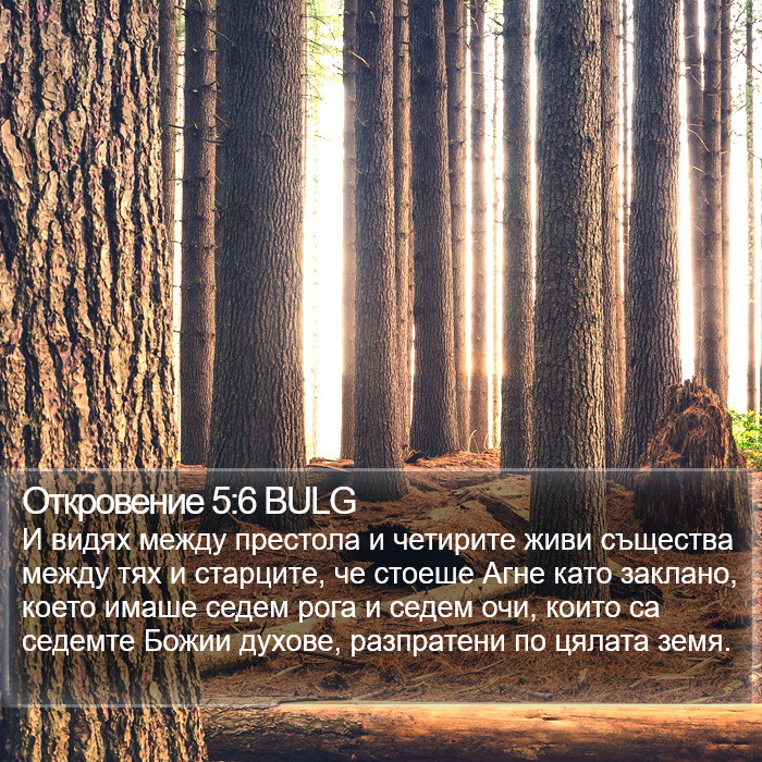 Откровение 5:6 BULG Bible Study