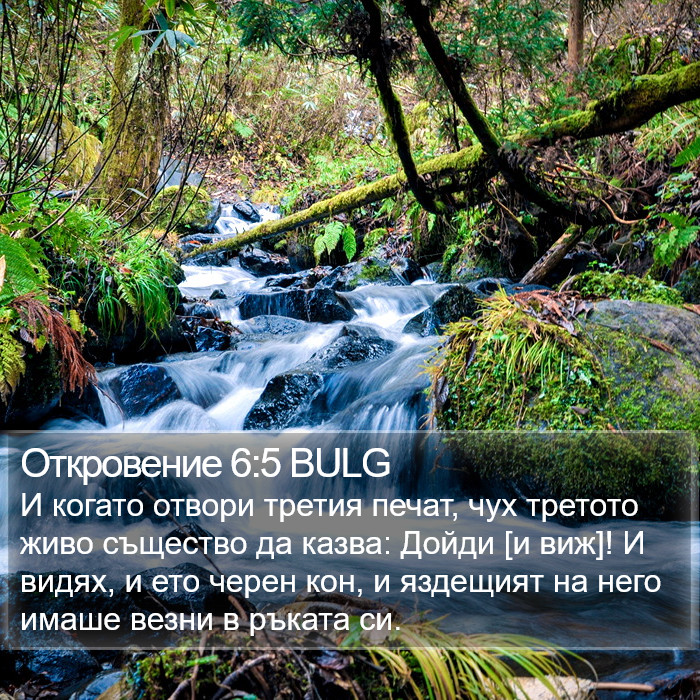 Откровение 6:5 BULG Bible Study