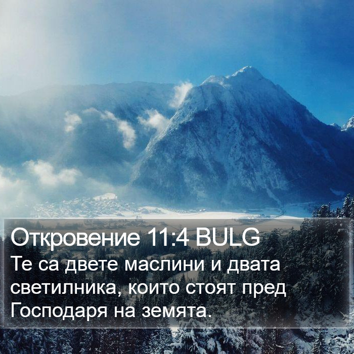 Откровение 11:4 BULG Bible Study