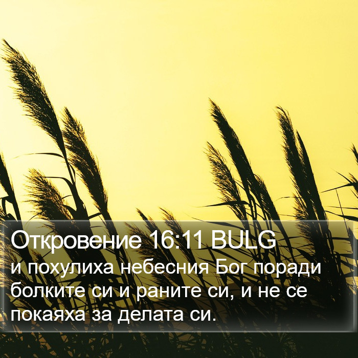 Откровение 16:11 BULG Bible Study